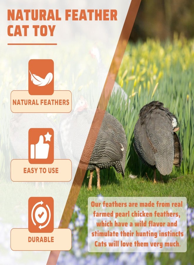 Highland Farms Select Handmade Natural Feather Cat Toy Dah Bird Refills - Interactive Cat and Kitten Toy - 6 Pack - Image 4