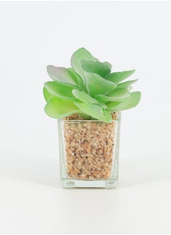 Artificial Succulent Bonsai - pzsku/ZA0D8CED6C9D2E68C3B02Z/45/_/1671183396/a19bcd64-48e2-44c8-b171-5472242c3557