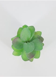 Artificial Succulent Bonsai - pzsku/ZA0D8CED6C9D2E68C3B02Z/45/_/1671183396/ae8a718b-e0fd-47b8-8d5a-993a8b8cc97a