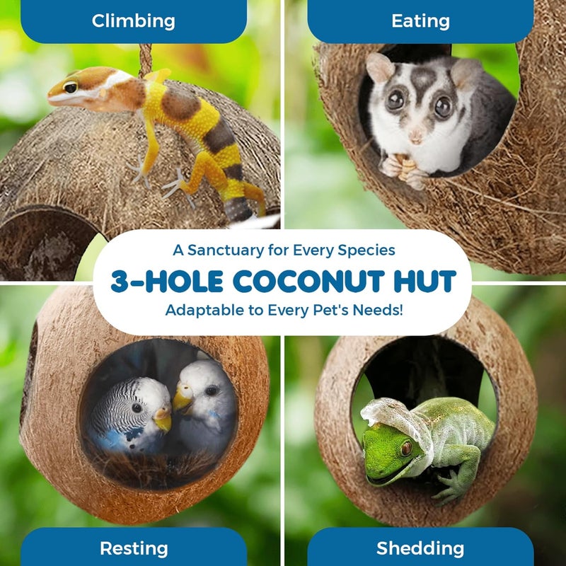 SunGrow Parakeet and Bird Toy Hut, 2.4” Hole Opening, 3-Hole Coco House, Millet Dispenser, Nesting House, 1 Piece per Pack - Image 5