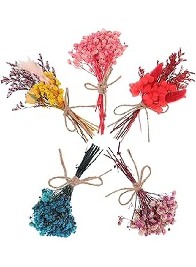 Mini Dried Flower Bouquet Set 5pcs Preserved Tiny Decorations for DIY Wedding Photography Props - Image 1