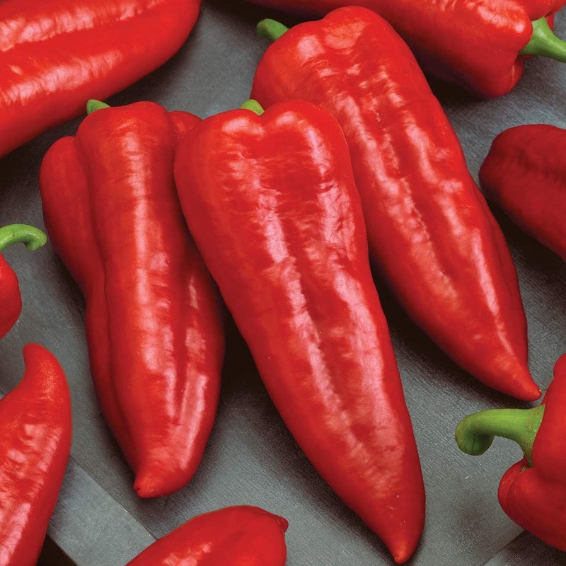Burpee Marconi Rosso Organic Sweet Pepper Seeds 20 seeds - Image 1
