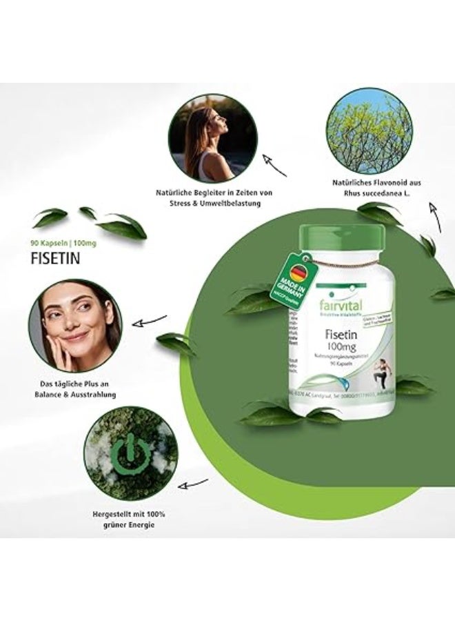 Fairvital Fisetin 100 mg ,Made from Japanese Wax Tree – Quality Tested and High Dose ,100% Vegan , to support cell repair and brain function ,90 Capsules ,Made in Germanyin Germany - Image 2