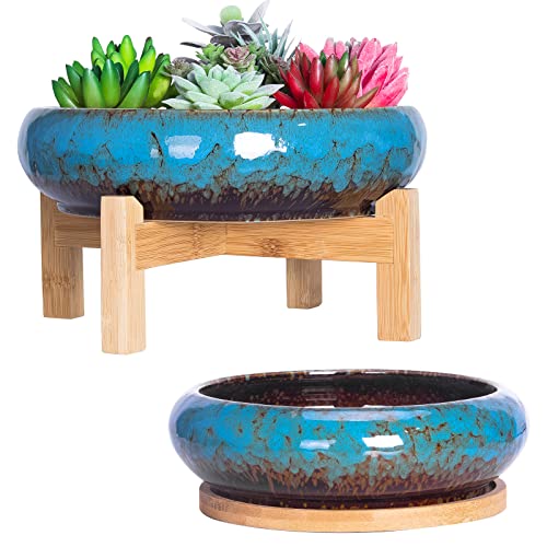 ARTKETTY Succulent Pots - 7.3/10 Inch Large Plant Pot Set of 2, Ceramic Bonsai Pot with Drainage Tray Shallow Planters for Indoor Succulents Glazed Cactus Flower Plant Container - Image 1