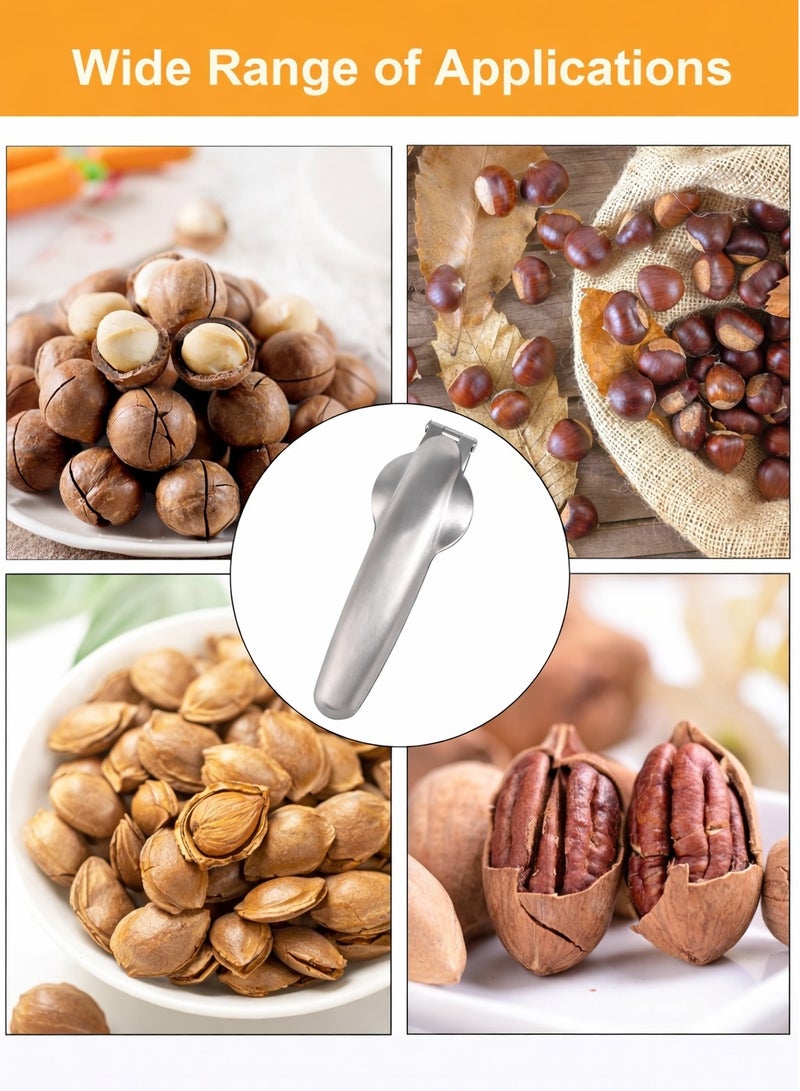 Trendify Stainless Steel Chestnut Opener Tool, Durable Nut Cracker and Chestnut Cutter for Easy Peeling, Kitchen Accessory – Silver - Image 4
