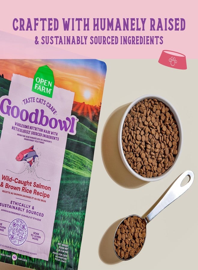 Open Farm أوبن فارم جودبول، طعام جاف غني بالبروتين للقطط مصنوع من مكونات بسيطة مختارة بعناية، وصفة سمك السلمون البري والأرز البني، كيس 3 أرطال (كيس 48 أونصة) - Image 3