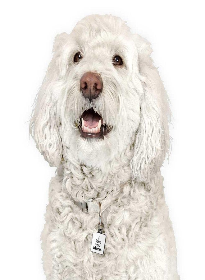 Quotable Pet Collar Charm, I Love You More, Saying, Hard Enamel and Black Nickel Plating - Image 3