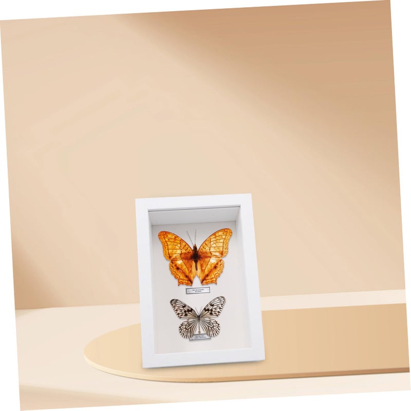 White Rustic Wooden Shadow Box Frame For Displaying Insect Specimens And Dried Flowers - Image 5