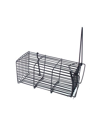 Rat and Mouse Trap 540 - pzsku/ZA0E50335EDD3D463C6CEZ/45/_/1732014076/d6bfe531-d31b-4038-b759-ff147d75a464
