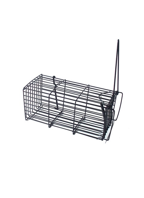 Rat and Mouse Trap 540