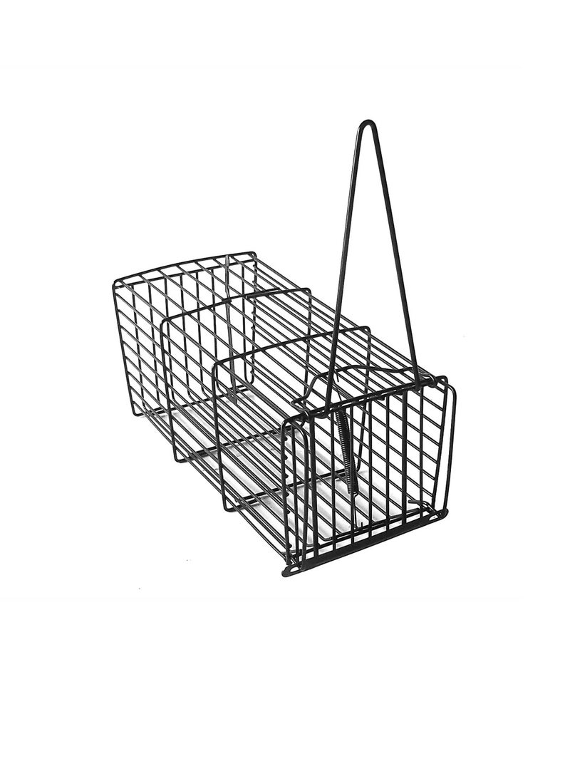 Rat and Mouse Trap 540