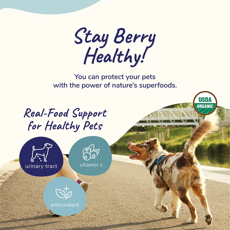 kin+kind Natural Cranberry Supplement Powder for Dogs&Cats - Boost Healthy Immunity and Bladder Support with Organic Formula - Organic Cranberry, Blueberry and Coconut - Small 4oz - Made in USA - Image 4