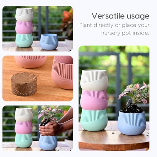 Eha Earth Friendly Oreo 4 inch Small pots for Indoor Plants with 2 Growmix| Pack of 4| Made with Bamboo Fibers|Table Top Planters for Home Decor and Office, Flower Pot for Living Room|Multicolor - Image 5