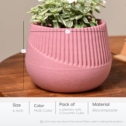 Eha Earth Friendly Oreo 4 inch Small pots for Indoor Plants with 2 Growmix| Pack of 4| Made with Bamboo Fibers|Table Top Planters for Home Decor and Office, Flower Pot for Living Room|Multicolor - Image 2