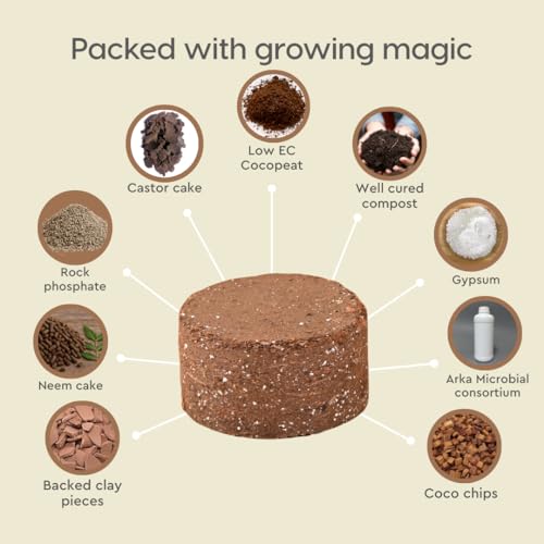 Eha Earth Friendly Oreo 4 inch Small pots for Indoor Plants with 2 Growmix| Pack of 4| Made with Bamboo Fibers|Table Top Planters for Home Decor and Office, Flower Pot for Living Room|Multicolor - Image 4