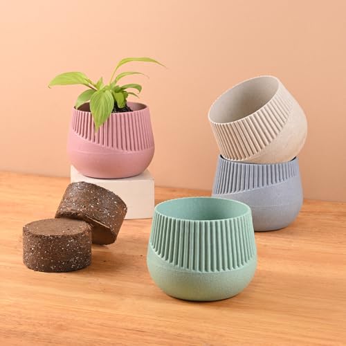 Eha Earth Friendly Oreo 4 inch Small pots for Indoor Plants with 2 Growmix| Pack of 4| Made with Bamboo Fibers|Table Top Planters for Home Decor and Office, Flower Pot for Living Room|Multicolor - Image 1