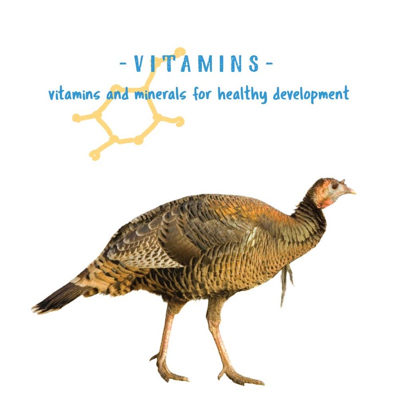 Manna Pro Gamebird & Showbird Crumbles â€“ Premium Poultry Feed for Chickens, Ducks, Gamebirds, Turkeys & Bantams â€“ Fortified with Vitamins & Minerals â€“ Healthy Complete Diet â€“ 5 lb Bag - Image 4