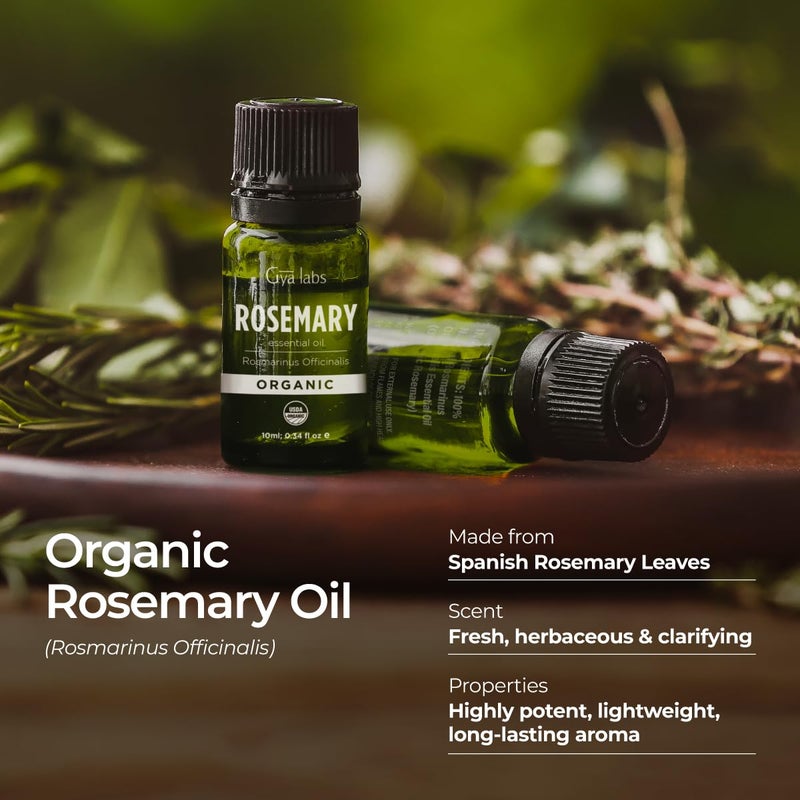 Gya Labs Organic Rosemary Essential Oil - 0.34 Fl Oz - for Skin, Hair, Diffuser, Aromatherapy, DIY Candle Making Scents - Image 3