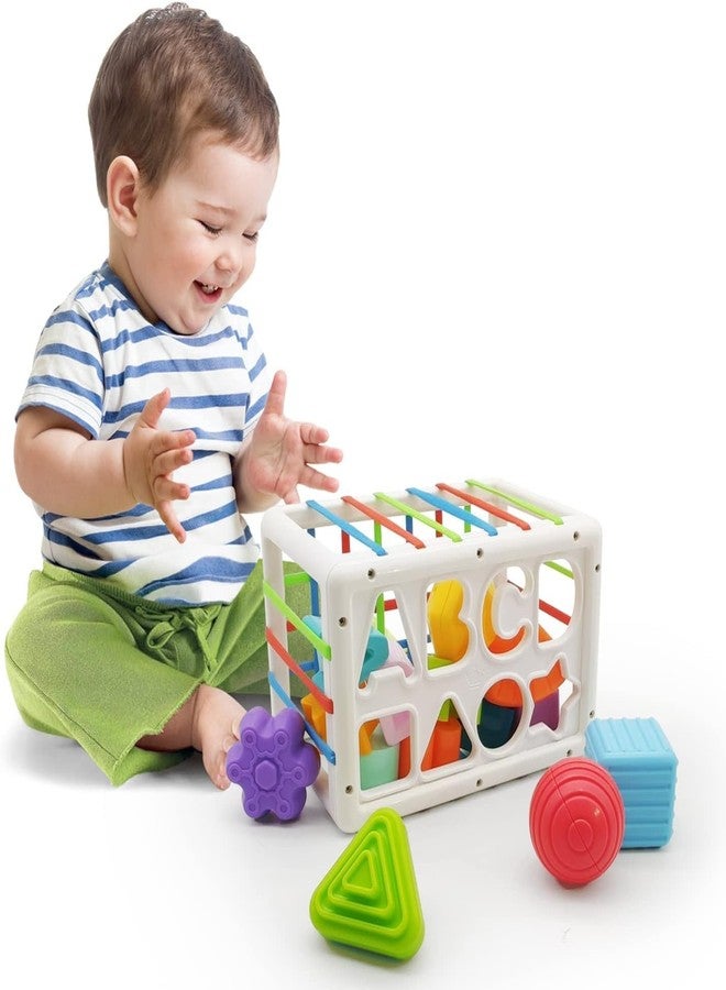 Tormeaw Baby Shape Sorter Toy, Toys Set, with 14 Pcs Sensory Shape, a Side of Toy and Elastic Bands Box, Brain Development for 1 2 3 Year Old,Gifts Early Education Toddlers - Image 2