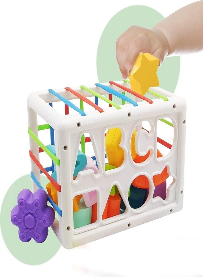 Tormeaw Baby Shape Sorter Toy, Toys Set, with 14 Pcs Sensory Shape, a Side of Toy and Elastic Bands Box, Brain Development for 1 2 3 Year Old,Gifts Early Education Toddlers - Image 4