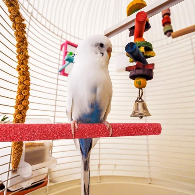 PETSARY Bird Claw Grinding Perch for Parakeets, Cockatiels, Lovebirds, Budgies | Wood Single Head Screw Parrot Stand Pole | Natural Perch Toy Platform Grinding Stick | Cage Accessories 25cm Blue - Image 5