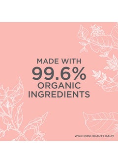 Neal's Yard Remedies Neal's Yard Remedies Wild Rose Organic & Daily Beauty Balm For All Skin Types - Nourishes & Exfoliates, 50g  - Image 4