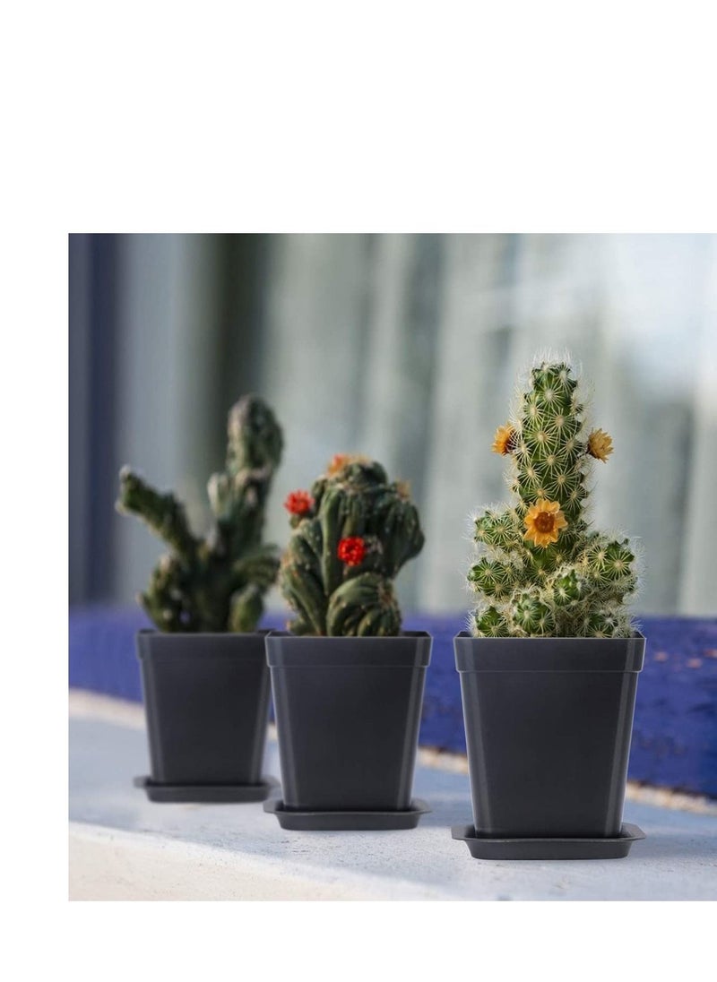 SYOSI Plastic Square Nursery Pots 36Pcs 3 Inch Plant Seed Starting Pots with Drainage Hole and Saucers for Seedling, Container for Your Room, Garden Office and Balcony Decor, Black  - Image 5