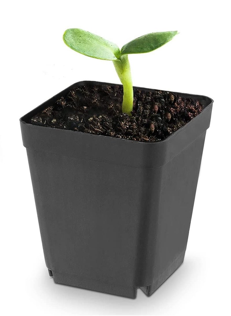 SYOSI Plastic Square Nursery Pots 36Pcs 3 Inch Plant Seed Starting Pots with Drainage Hole and Saucers for Seedling, Container for Your Room, Garden Office and Balcony Decor, Black  - Image 2