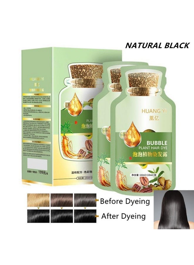 Huang Yi Natural Plant Hair Dye New Botanical Bubble Hair Dye 20Ml 10Packsbox Pure Plant Extract For Grey Hair Color Bubble Dye New Botanical Bubble Hair Shampoo (Natural Black) - pzsku/ZA0EC30046347839E8FA9Z/45/_/1721025056/a8b36d21-3174-43e1-ab04-bee5b5cf3a7a