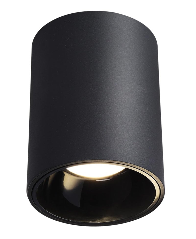 CITRA 12W LED Indoor Outdoor Black Ceiling Lamp Round Drum Cylinder Light 3000k (Warm White) - Image 1