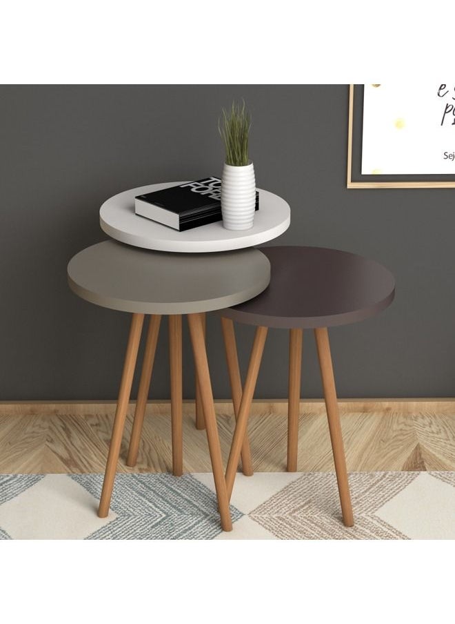 Home Canvas - Home Canvas ROMA Nested Coffee Table Set of Three for Living Room Home Office Contemporary Stacking End Side Table Leisure Night Stand Wood Legs Telephone Table-  Multi Color 2 - Image 1