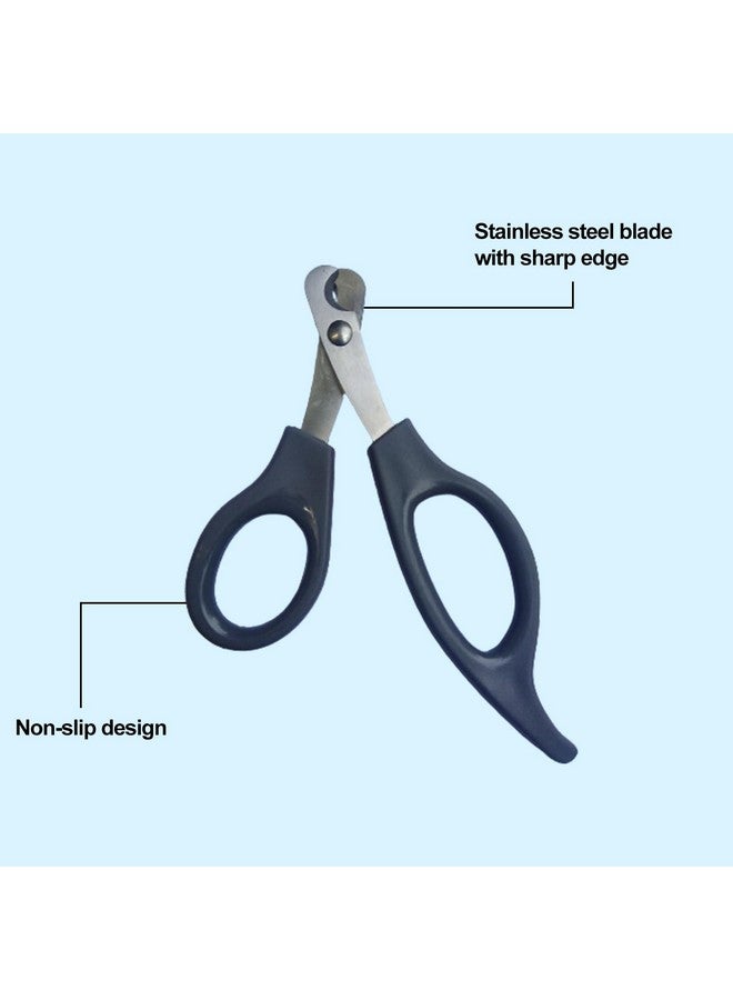 إيميلي بيتس مجموعة مكونة من مقص أظافر الكلاب ومبرد أظافر الكلاب وفرشاة تنظيف ذاتية للكلاب، عبوة من قطعتين باللون الأزرق الصغير - Image 5