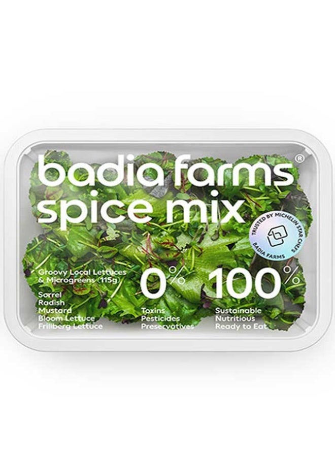 Spice Mix Lettuce 100g