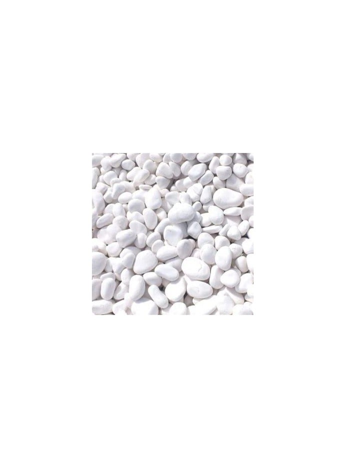 Generic White Polished 10-20 mm Pebbles Natural Decorative Smooth River Rocks, Gravel Size White Small Pebble Stone for Succulent, Bonsai, Potted Plants, Landscaping, Fairy Garden, Aquarium (10 kg) 
