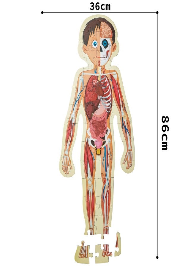 The Book Tree Human Body Puzzle for Kids, 50+ Pieces, Detailed Illustrations, Learning Experience by Majestic Book Club - Image 4