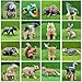 SCAHOW 16 PCS Forest Animals Figures Woodland Creatures Figurines Miniature Toys CakeCupcake Topper Birthday Gift for Kids Woodland Baby Shower Decorations - Image 4