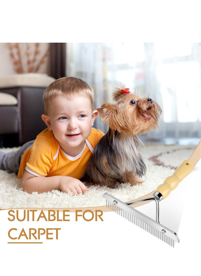 Excefore - Hand Held Carpet Rake Pet Hair Remover, Carpet Portable Shag Rug Rake, Long Handle Low Pile Carpet Scraper Lint Remover for Cat Hair Removal, Carpet Corrector Comb Restore Carpet Softness (7inch) - Image 1