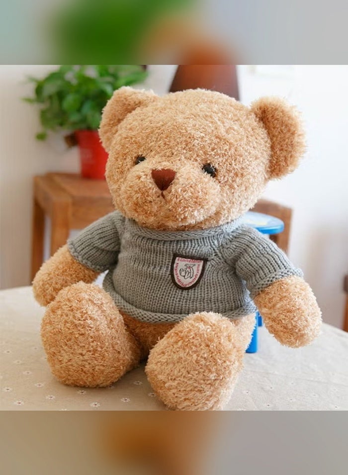 Haidue Teddy Bear Plush Toy 30cm, Stuffed Animal Toy, Gift for Kids Boys Girls (Brown) - Image 5