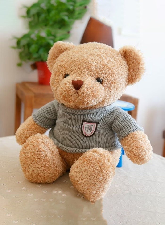 Haidue Teddy Bear Plush Toy 30cm, Stuffed Animal Toy, Gift for Kids Boys Girls (Brown) - Image 3