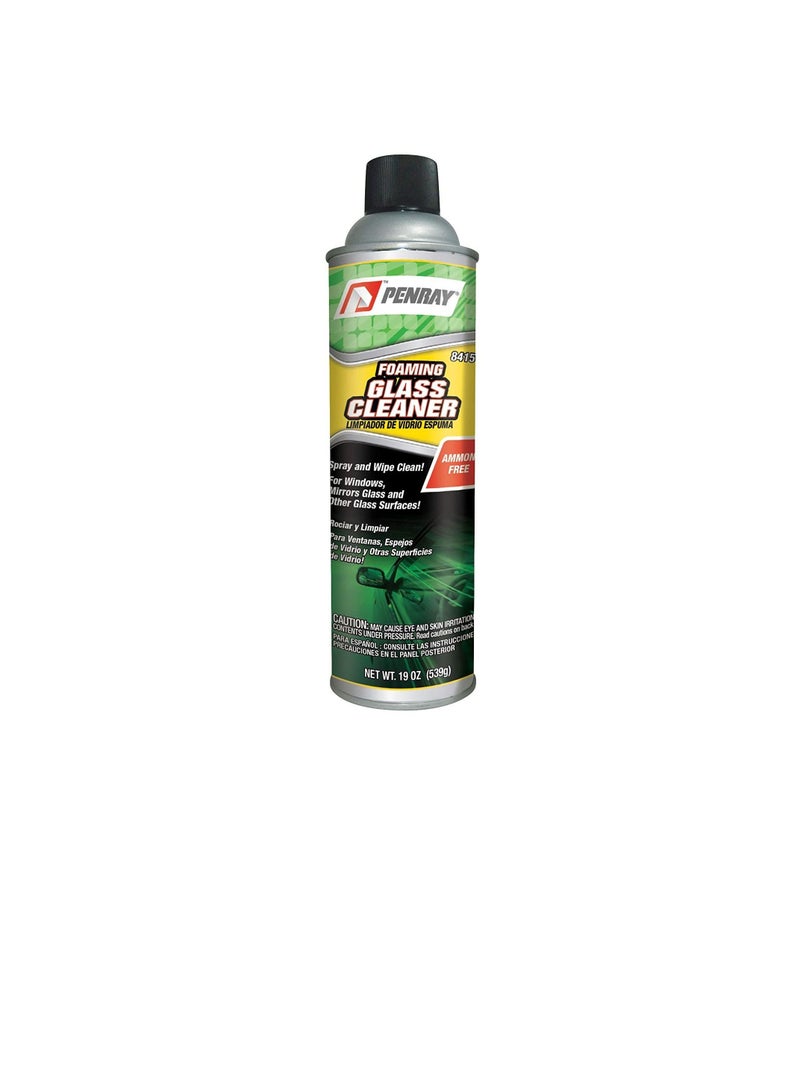 PENRAY Foaming Glass Cleaner 19 OZ-84151 - Image 1