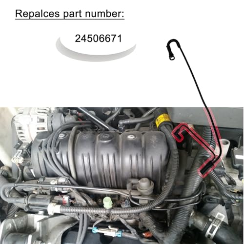 koxuyim 24506671 Fuel Pressure Regulator Vacuum and Vapor Canister Purge Harness, fit for-Chevrolet Impala Monte Lumina& Buick Century Regal Pontiac Grand Prix - Image 4