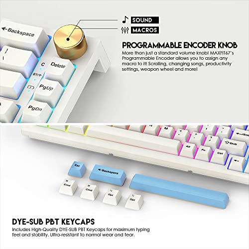 FANTECH MAXFIT67 3-Mode Custom Mechanical Gaming Keyboard RGB Backlit, 65% (67-Key) Hot Swappable Type-C Wired South Facing Mechanical Keyboard, Yellow Switch, White - Image 3