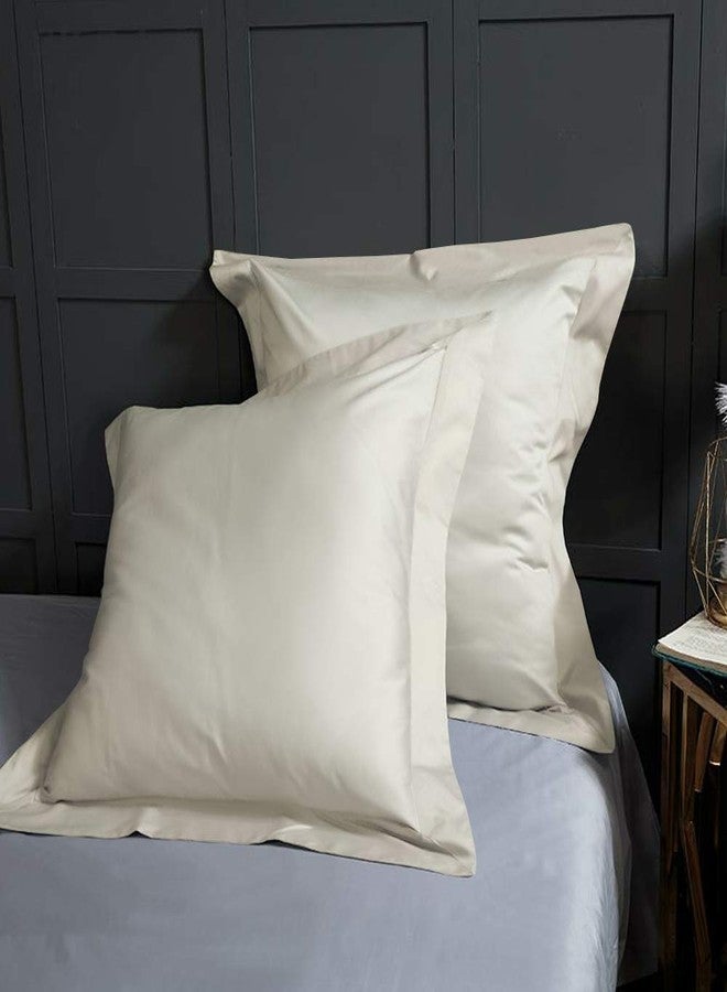 BEDSUM 2 Pcs Microfiber European Pillow Shams, Super Soft and Fade, Wrinkle Resistant Bed Square Throw Pillow Covers with Envelope Closure, 26x26 Inches, Light Grey - Image 5