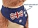 BOHS Plush Kangaroo with Australia Scarf and Removable Joey Cuddly Soft Stuffed Mom and Baby Animals Toy 11 Inches - Image 4