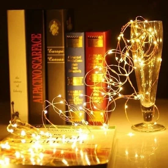 Lisinya Christmas and Special Concept Decoration 5 mt LED Light with USB Connection