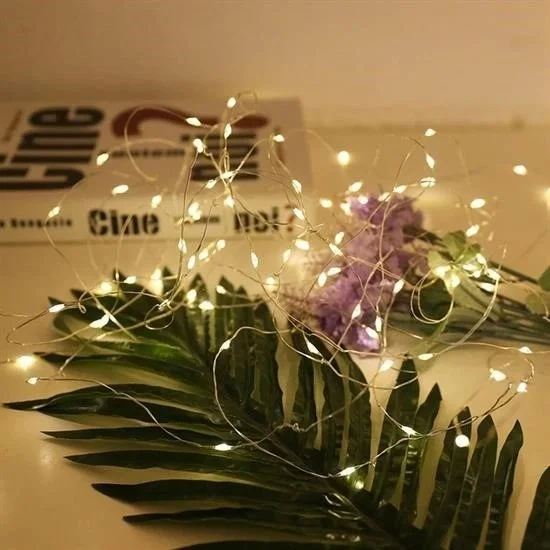 Lisinya Christmas and Special Concept Decoration 5 mt LED Light with USB Connection