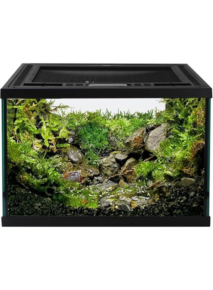 DoPhin Dolphin TT812- 3 in 1 Terrarium Tank, a habitat designed for reptiles, amphibians, or plants. - Image 2