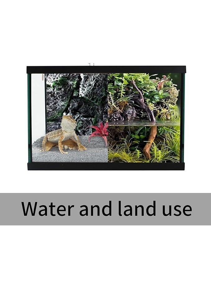 DoPhin Dolphin TT812- 3 in 1 Terrarium Tank, a habitat designed for reptiles, amphibians, or plants. - Image 4