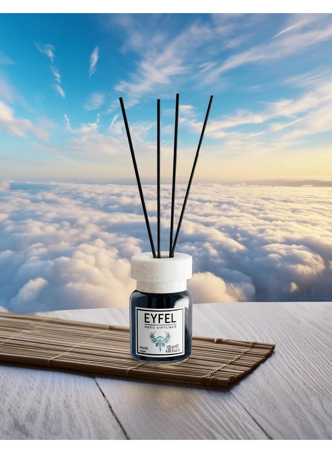 EYFEL REED DIFFUSER- ANGEL 120ML - Assorted - Image 2