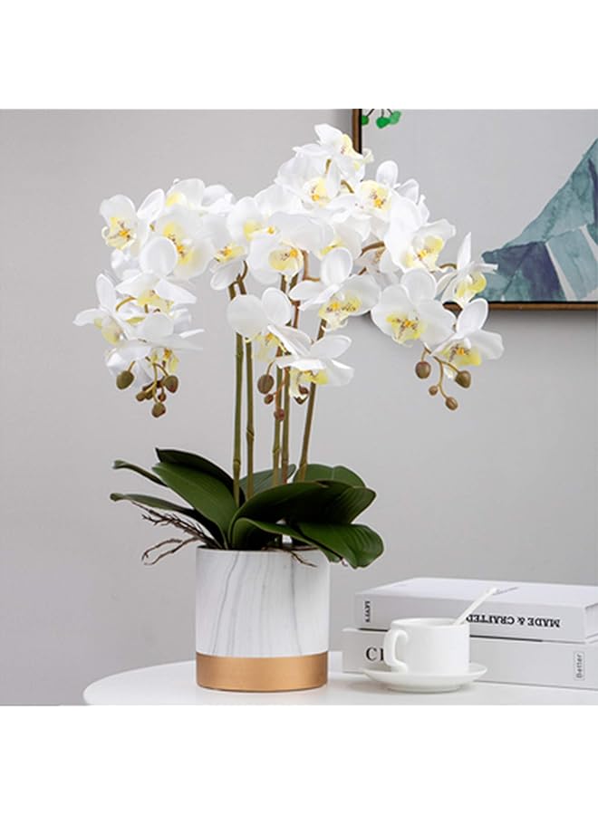 erorex 32 Inch Artificial Phalaenopsis Flowers 6 Pcs Artificial Orchid Flowers Stem Plants For Home Décor 6Pcs - Image 4